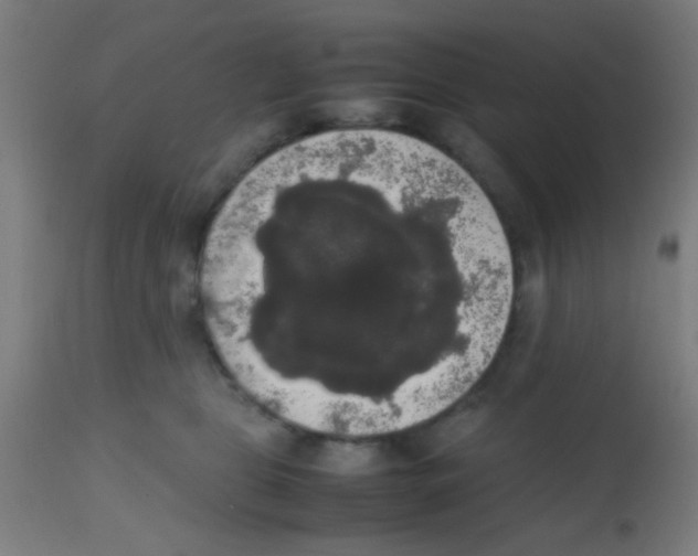 X0000113850469200910221423