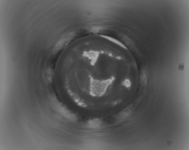 X0000113850470200910221423