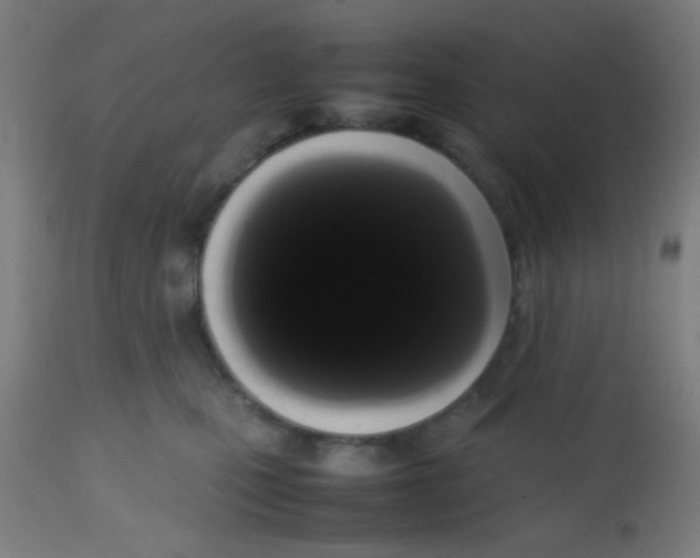 X0000113850471200910221423