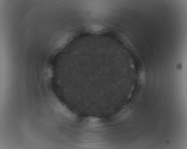 X0000113850472200910221423