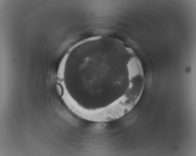 X0000113850474200910221423