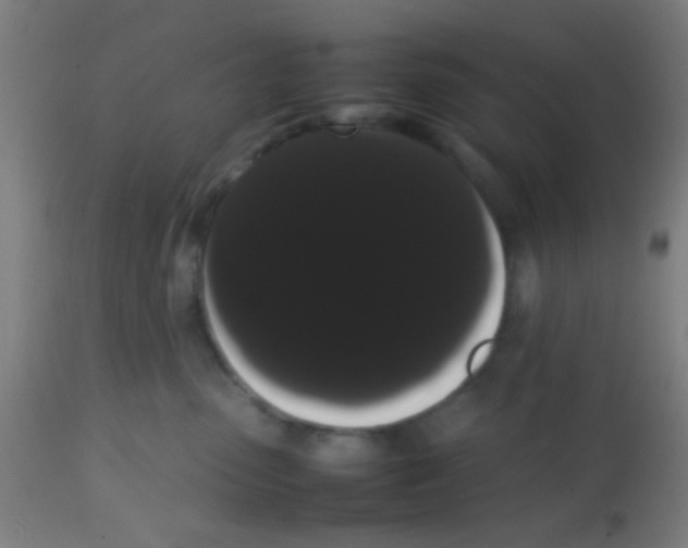 X0000113850475200910221423