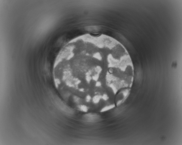 X0000113850477200910221423