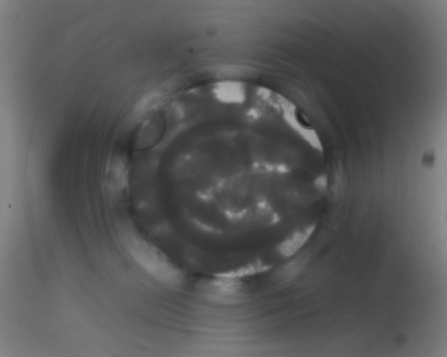 X0000113850478200910221423