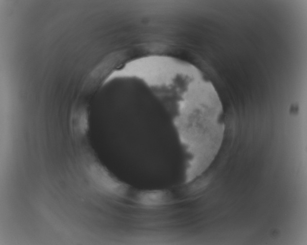 X0000113850479200910221423