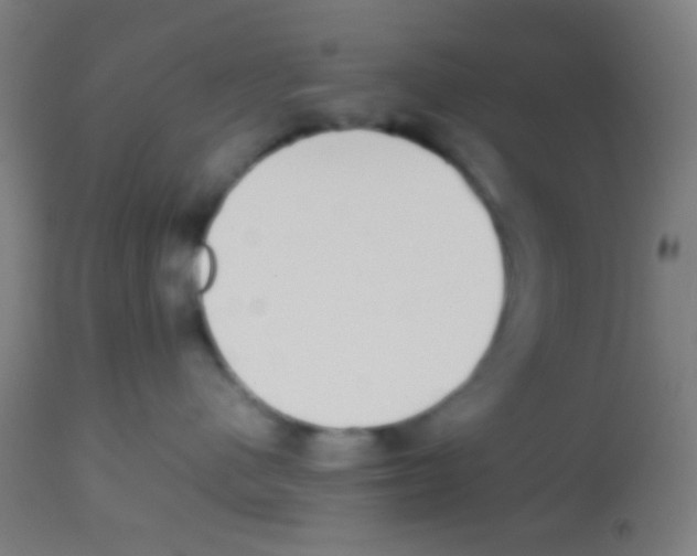 X0000113850480200910221423