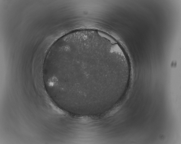 X0000113850481200910221422