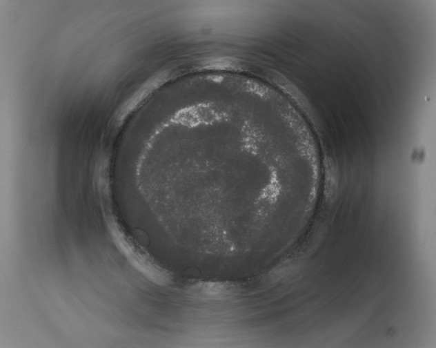 X0000113850482200910221422