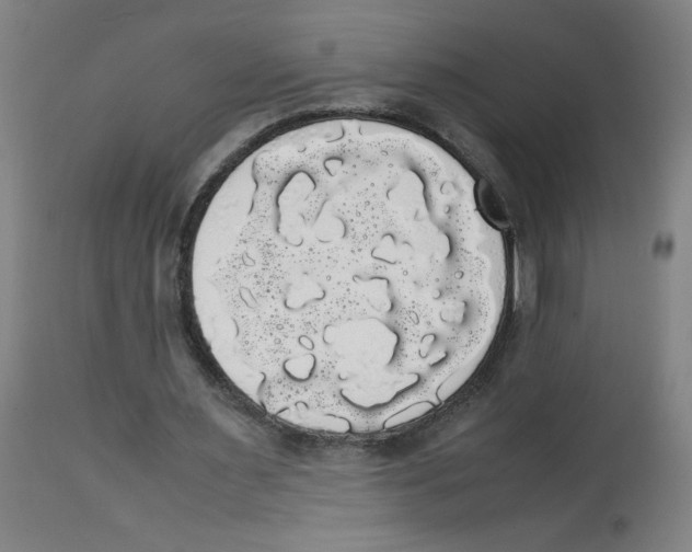 X0000113850483200910221422