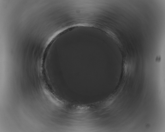 X0000113850484200910221422