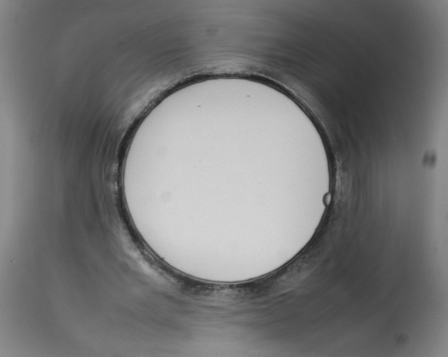 X0000113850485200910221422