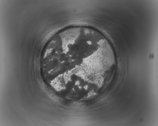 X0000113850487200910221422