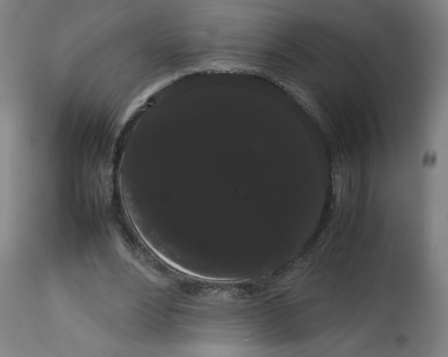 X0000113850488200910221422