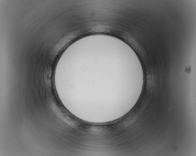 X0000113850490200910221422