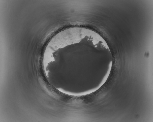 X0000113850491200910221422