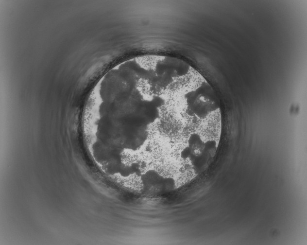 X0000113850495200910221422