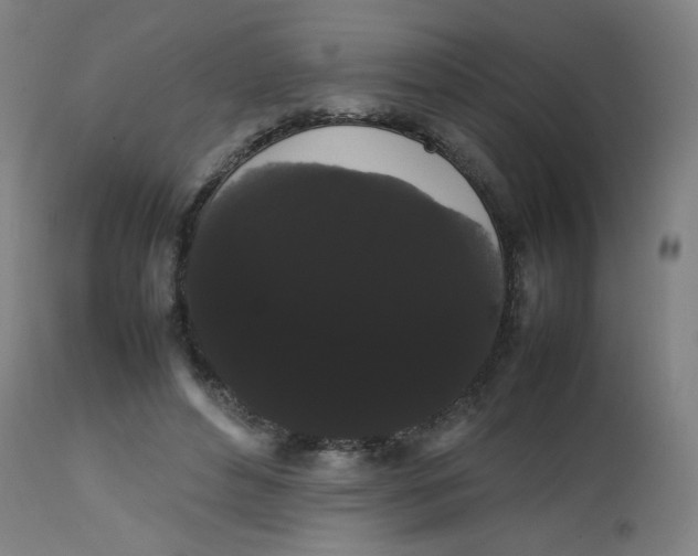 X0000113850496200910221422