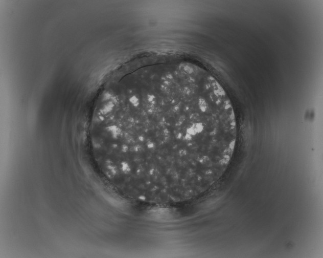 X0000113850499200910221422