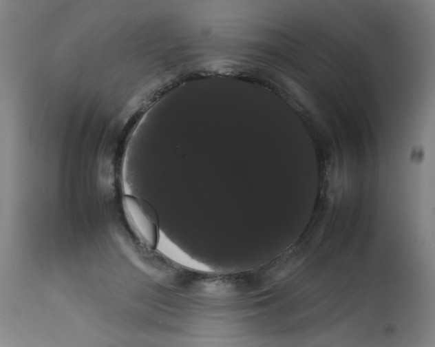 X0000113850500200910221422