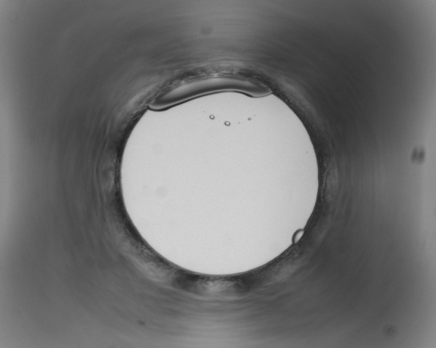 X0000113850501200910221422