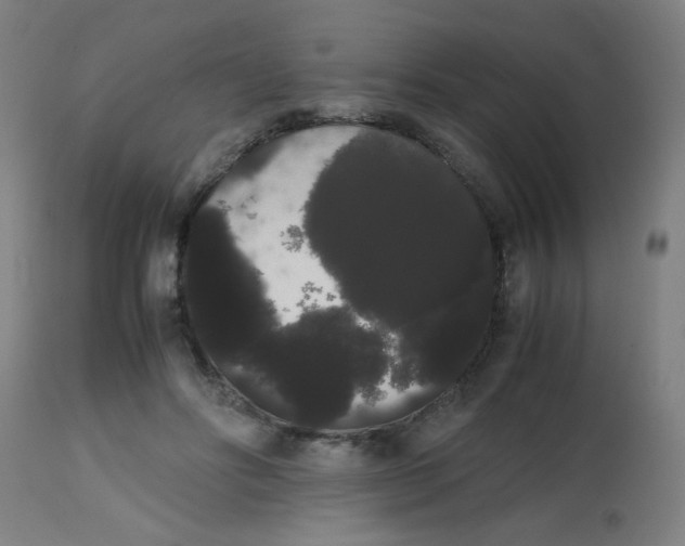 X0000113850502200910221422