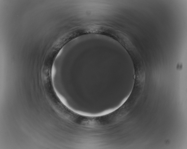 X0000113850503200910221422