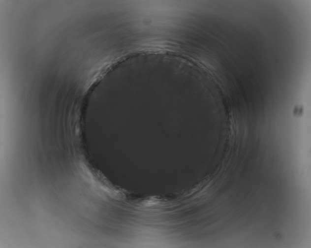 X0000113850504200910221422