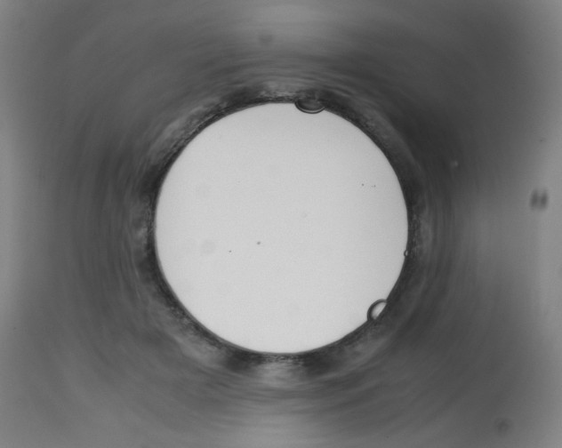 X0000113850505200910221422