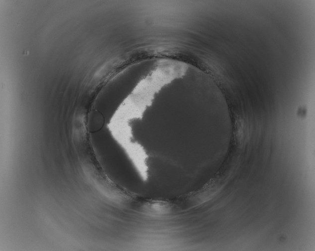 X0000113850506200910221422