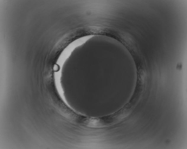 X0000113850507200910221422