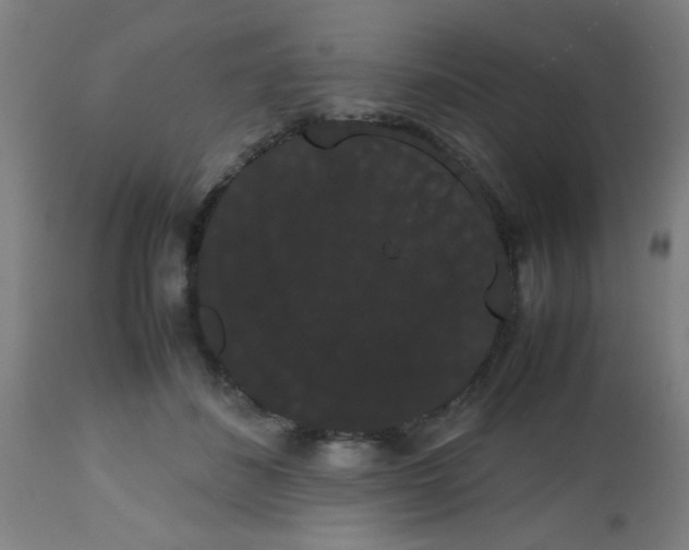 X0000113850508200910221422