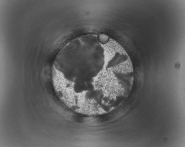 X0000113850511200910221422