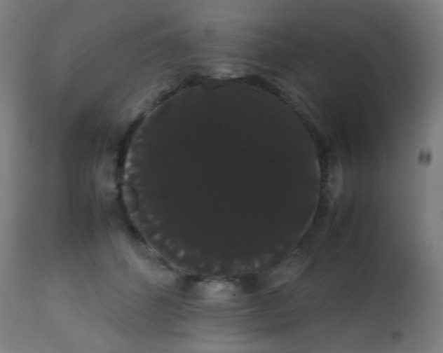 X0000113850512200910221422