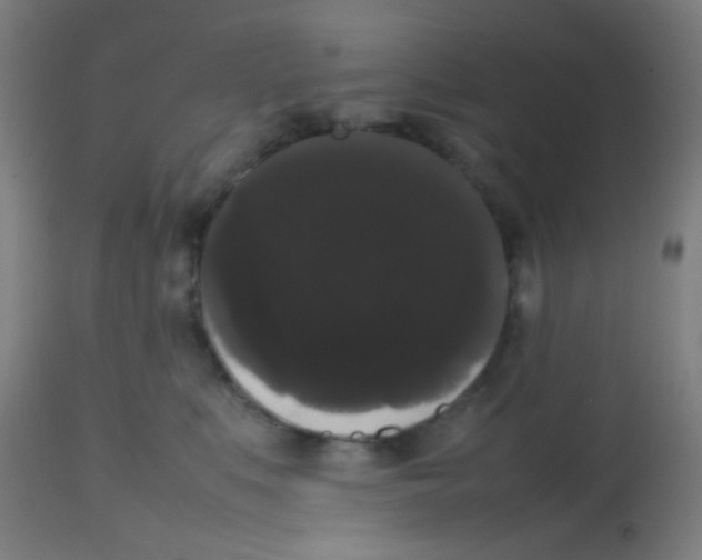 X0000113850519200910221422