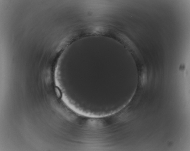 X0000113850520200910221422