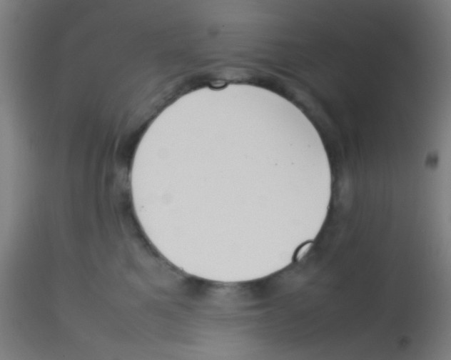 X0000113850521200910221422