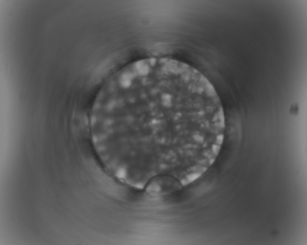 X0000113850523200910221422