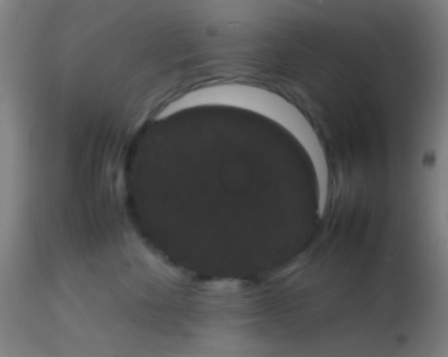 X0000113850524200910221422