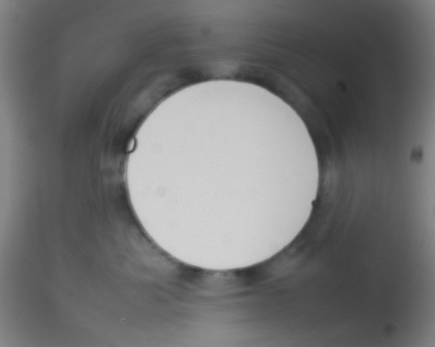 X0000113850525200910221422