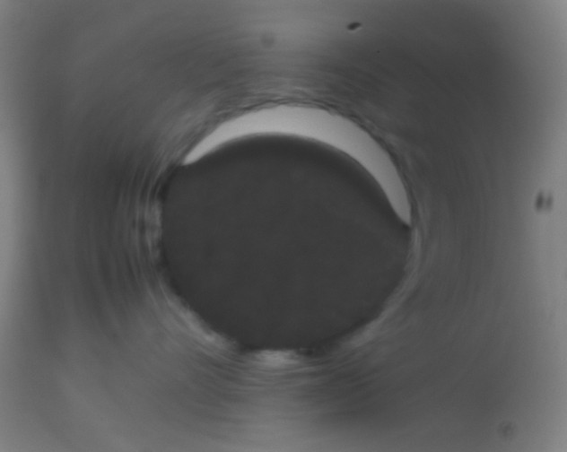 X0000113850528200910221422