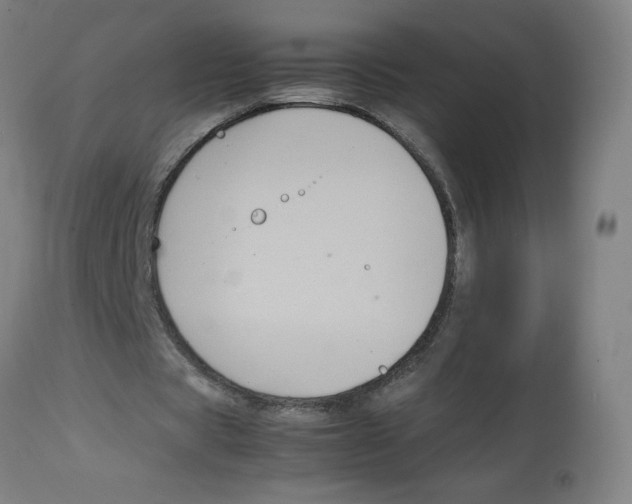 X0000113850529200910221421