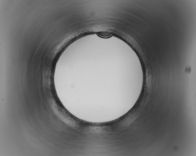 X0000113850530200910221421