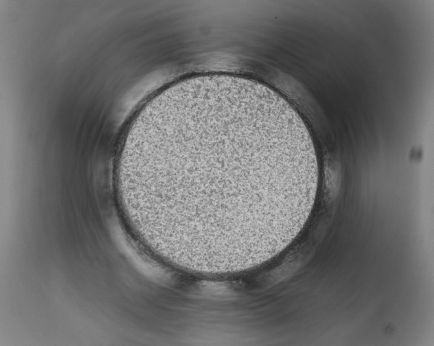 X0000113850534200910221421