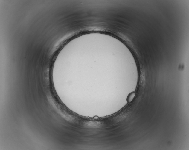 X0000113850535200910221421