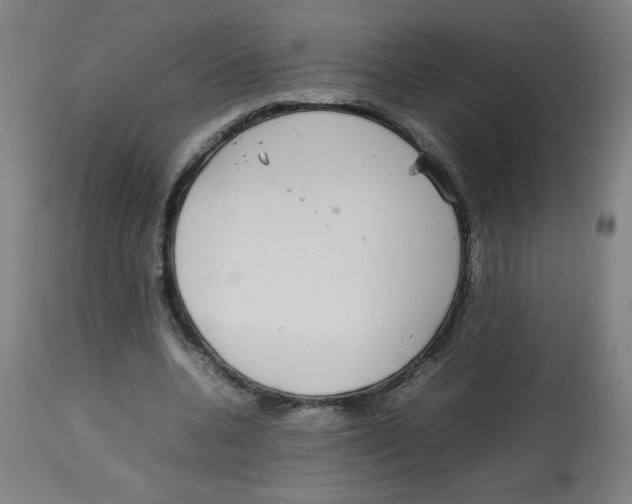 X0000113850536200910221421