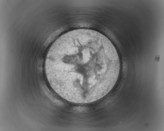 X0000113850537200910221421