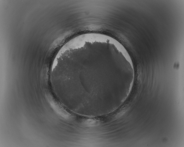 X0000113850542200910221421