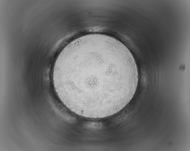 X0000113850543200910221421