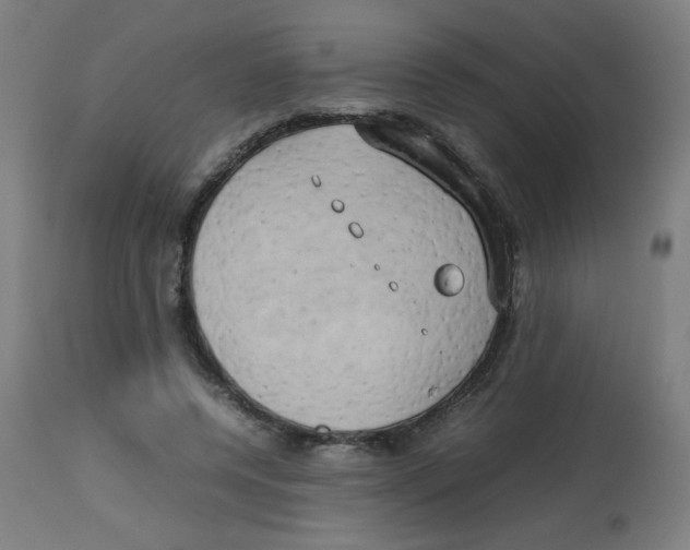 X0000113850544200910221421