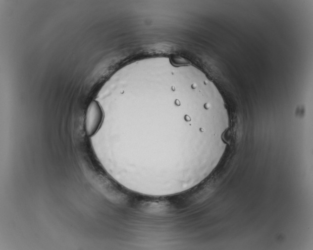 X0000113850548200910221421